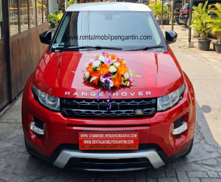 Sewa Alphard Surabaya, Sewa Mobil Alphard Surabaya, Rental Alphard Surabaya, Rental Mobil Alphard Surabaya, Wedding Car Surabaya, Sewa Mobil Pengantin Surabaya, Rental Mobil Pengantin Surabaya